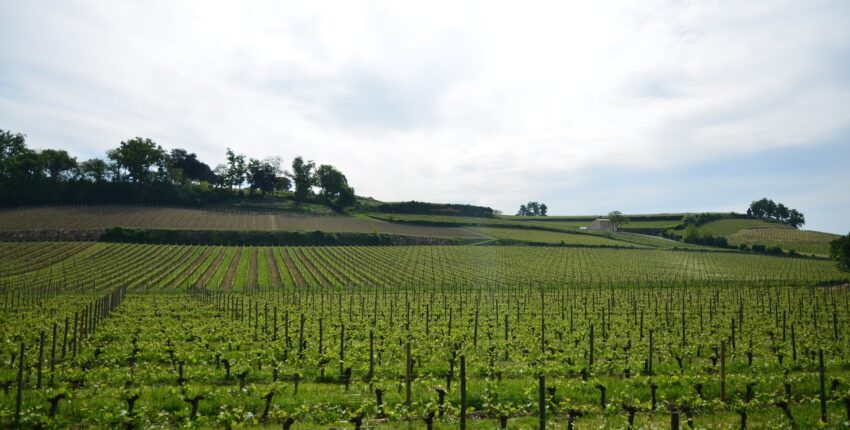 Bordo Mérignac: privačiu lėktuvu nuoma 