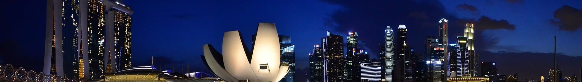 Singapūras: privačiu lėktuvu nuoma 