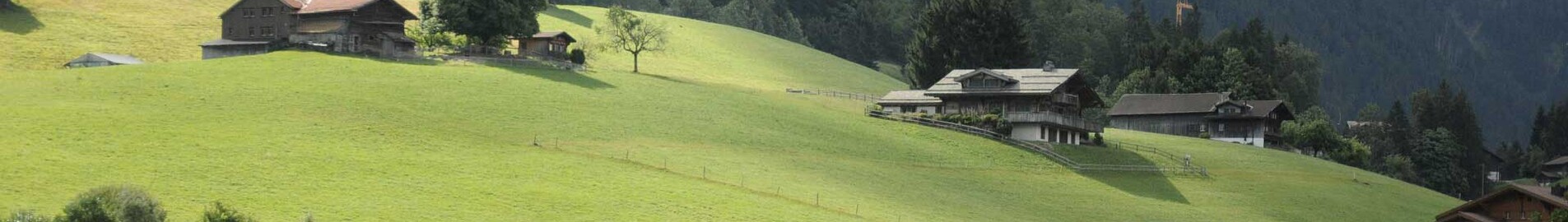 Paryžius - Gštadas : privataus lėktuvo nuoma 