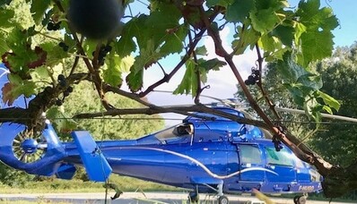 Gastronominiai žygiai sraigtasparniu