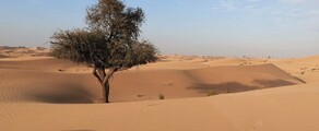 Abu Dabis: privačiu lėktuvu nuoma 
