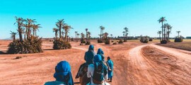Tan-Tan : privačių lėktuvų nuoma 