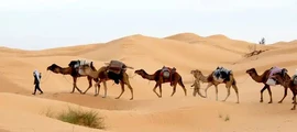 Gafsa: privačiu lėktuvu nuoma