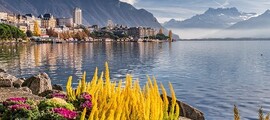Neapolis - Ženeva: privataus lėktuvo nuoma