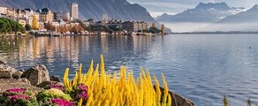 Hamburgas - Ženeva : privataus lėktuvo nuoma