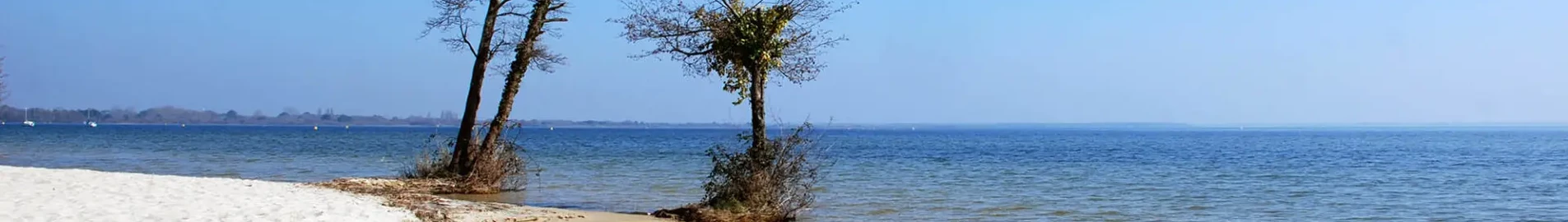 Base Aérienne Cazaux: privačiu lėktuvu nuoma 