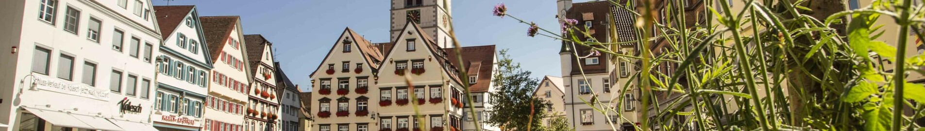 Biberach An Der Riss : privačiu lėktuvu nuoma 