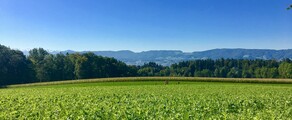 Dubendorfas: privačiu lėktuvu nuoma 