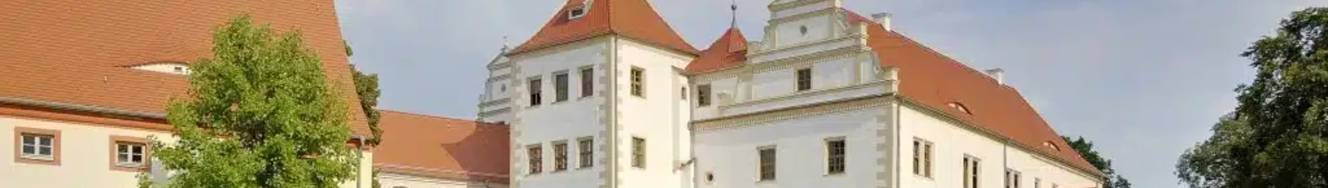 Finstervaldė: privatus lėktuvas nuoma 