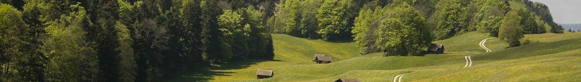 Granges: privačiu lėktuvu nuoma 