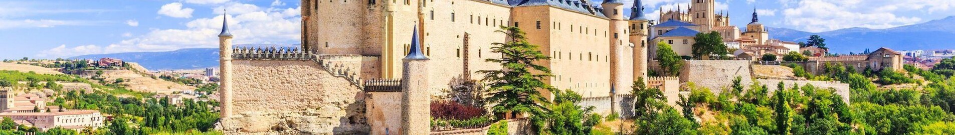 Leonas : privačių lėktuvų nuoma 