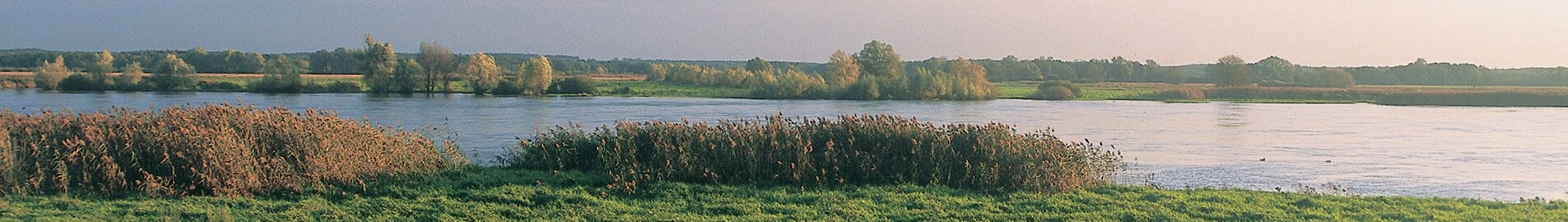Neuhardenberg Wriezen: privačių lėktuvų vieta 