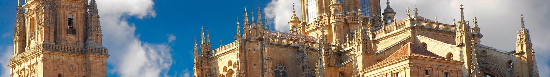 Salamanca Matacan : privačiu lėktuvu nuoma 