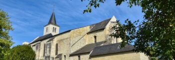 Vignobles en région Beaujolais au couché du soleil
