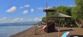 Sraigtasparnių ir privačių lėktuvų frachtavimas Stefanovikione