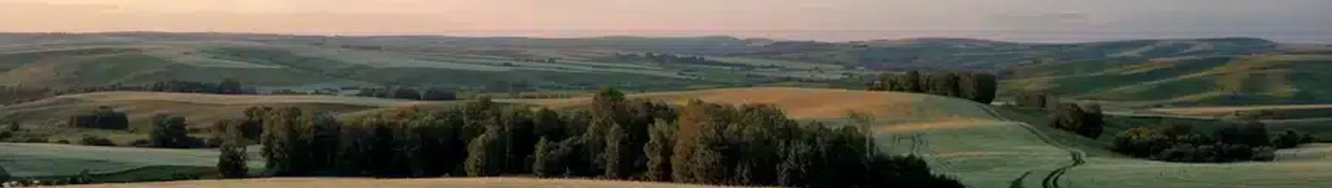 Barnaulas : privataus lėktuvo nuoma