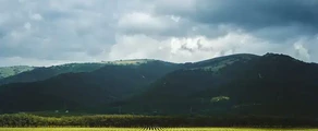 Gelendžikas : privataus lėktuvo nuoma
