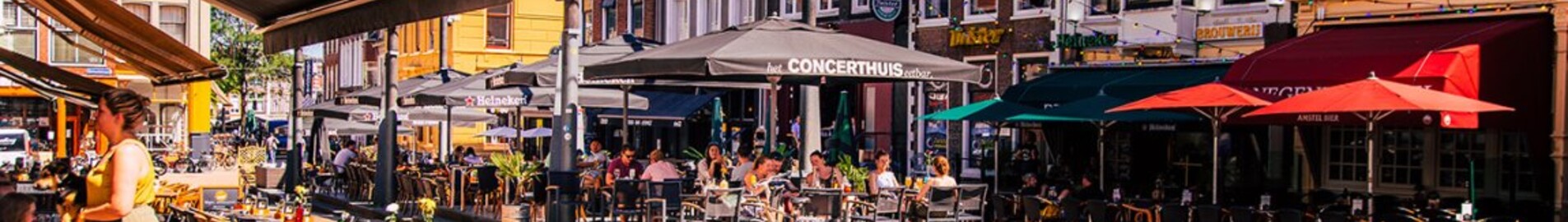 Groningen Eelde: privačių lėktuvų vieta 