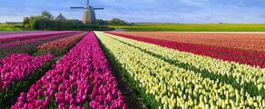 Hoogeveen: privačių lėktuvų vieta