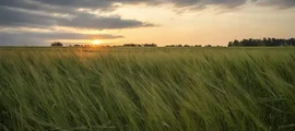 Pevek : privačių lėktuvų nuoma
