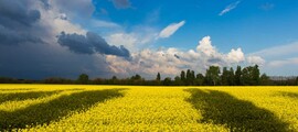Charkovas Osnova : privataus lėktuvo nuoma