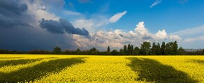 Chmelnickis : privačių lėktuvų nuoma