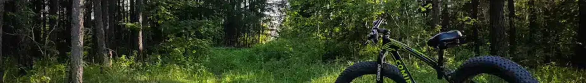 Kurganas : privačių lėktuvų nuoma