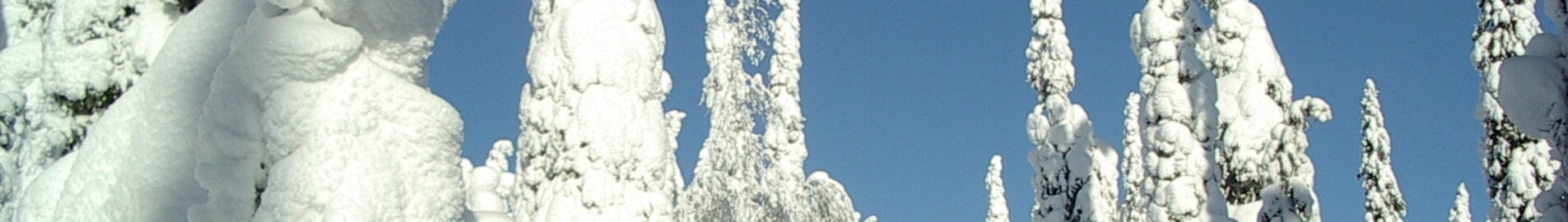 Kuusamo : privačių lėktuvų nuoma 