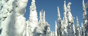 Kuusamo : privačių lėktuvų nuoma 