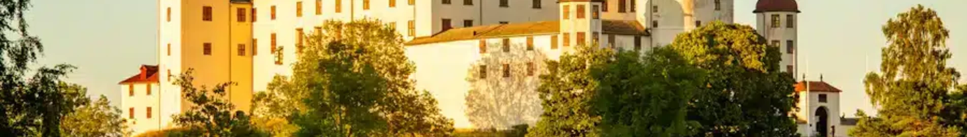 Lidkopingas : privačių lėktuvų nuoma