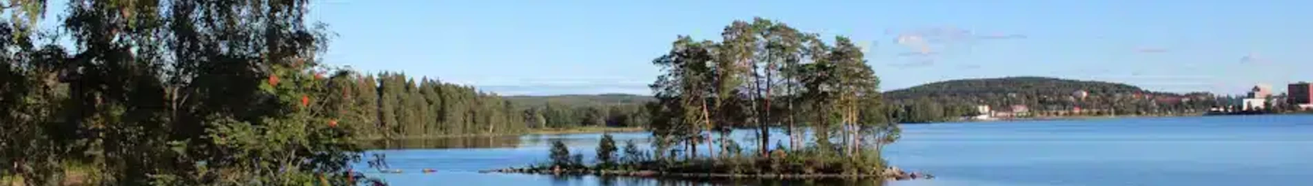 Liudvika: privataus lėktuvo nuoma