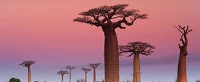 Madagaskaras: privačių lėktuvų nuoma