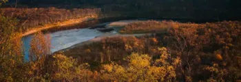 Vignobles en région Beaujolais au couché du soleil