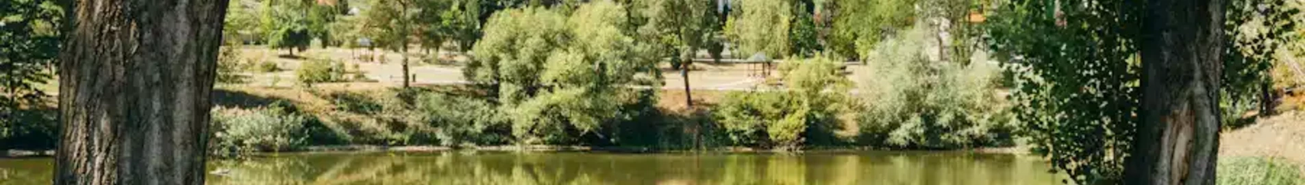 Moldova : Privačių lėktuvų nuoma
