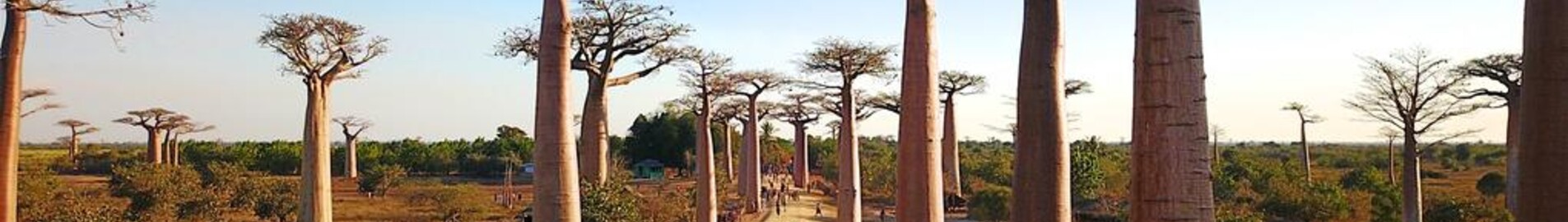 Morondava : privataus lėktuvo nuoma