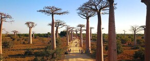 Morondava : privataus lėktuvo nuoma