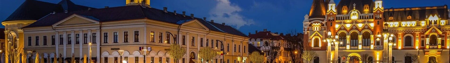 Oradea : privačių lėktuvų nuoma 