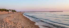 Palanga : privataus lėktuvo nuoma 
