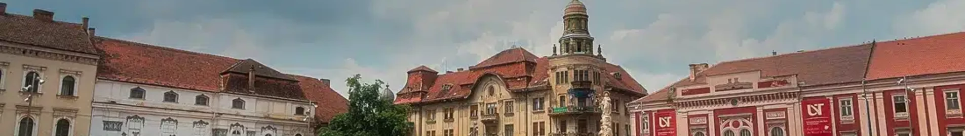 Satu Mare: privačiu lėktuvu nuoma