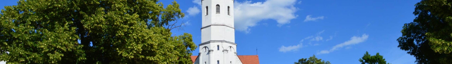 Šiauliai : privataus lėktuvo nuoma 