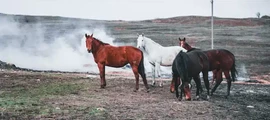 Magnitogorskas : privačių lėktuvų nuoma