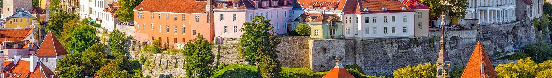 Talinas : privataus lėktuvo nuoma 