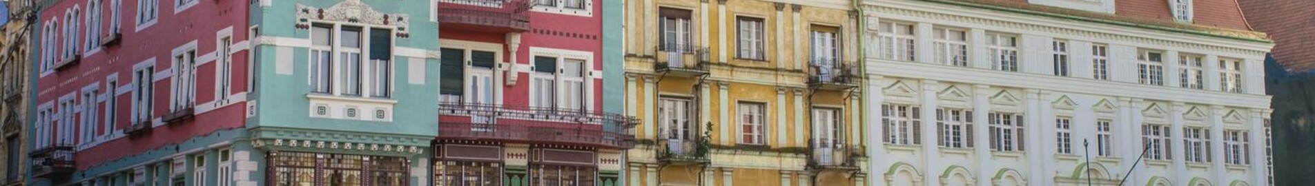Timišoara Traianas Vuia : privačiu lėktuvu nuoma 