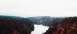 Kalixforsas : privačių lėktuvų nuoma