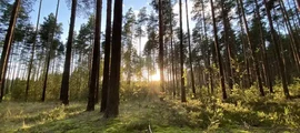 Maskva: privataus lėktuvo nuoma 
