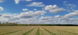 Sankt Peterburgas: privačiu lėktuvu nuoma 