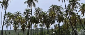 Union Island : privačiu lėktuvu nuoma