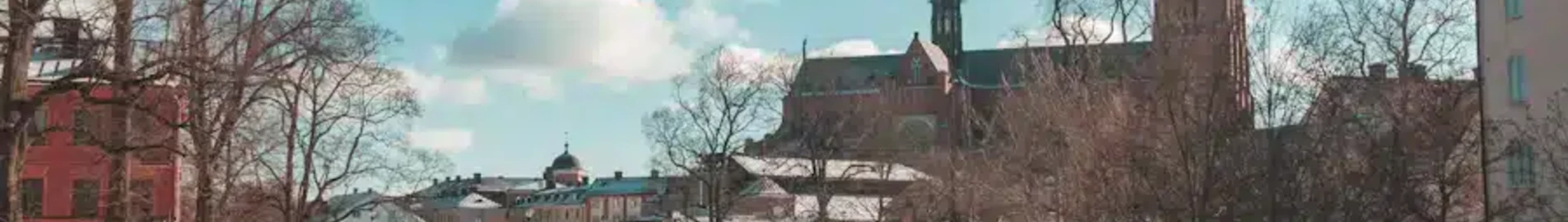 Upsala : privačių lėktuvų nuoma
