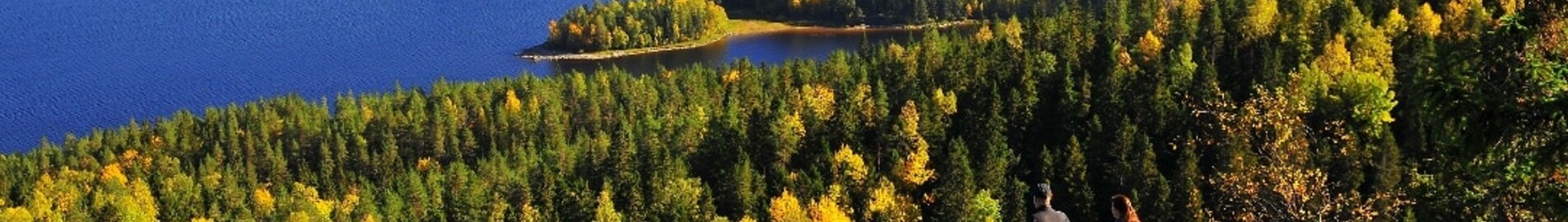 Varkaus : privačių lėktuvų nuoma 