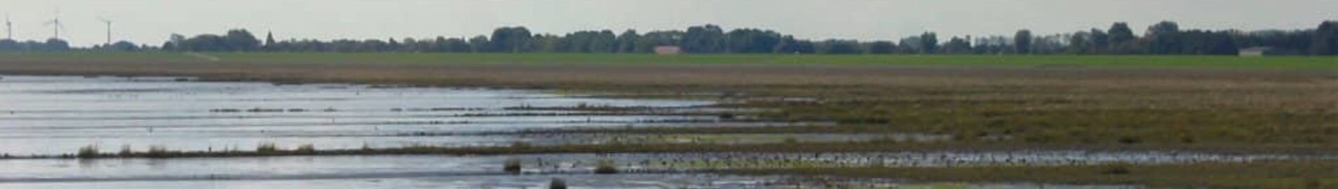 Wilhelmshaven Mariensiel : privataus lėktuvo nuoma 